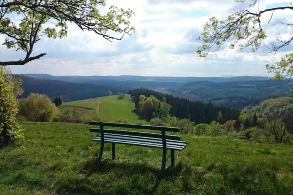 Ruhiges Ferienhaus Mit Sauna: Hellaberg III Langenbach  エクステリア 写真