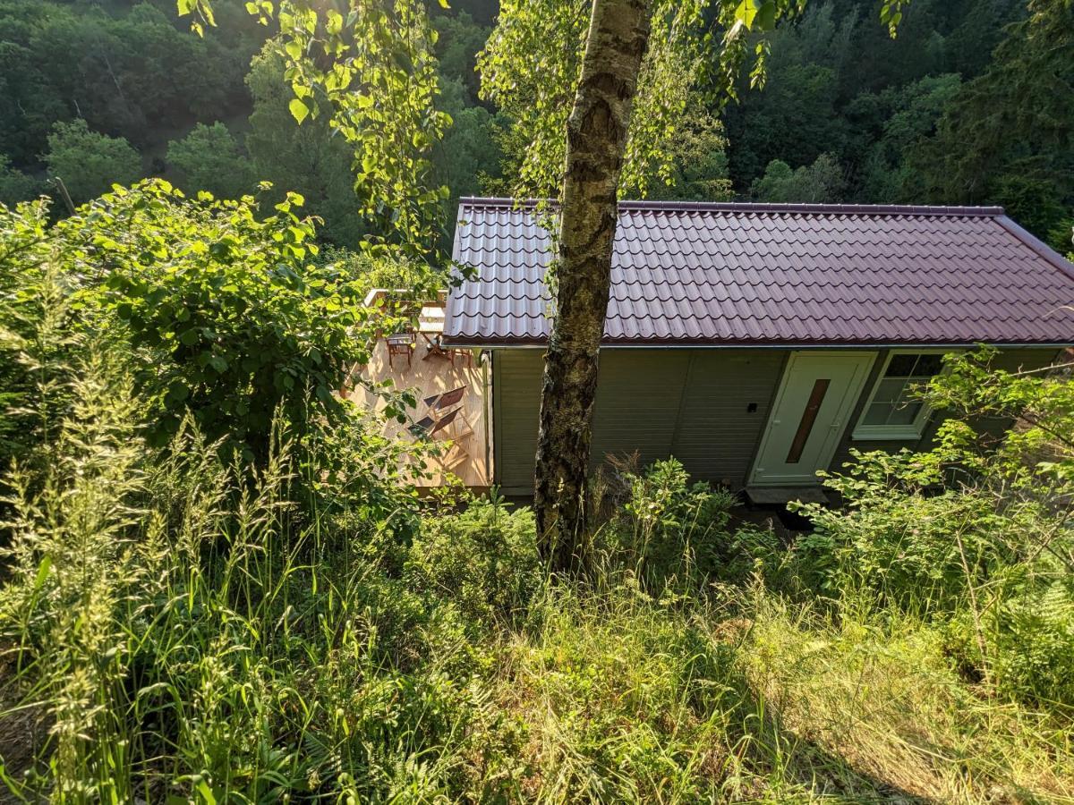 Ruhiges Ferienhaus Mit Sauna: Hellaberg III Langenbach  エクステリア 写真